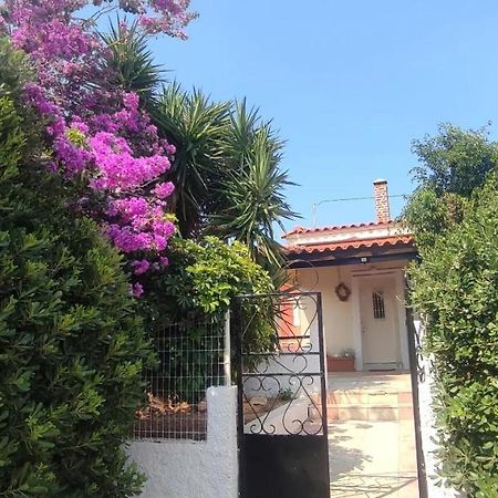 Olive Grove Cottage Skalani Knosos Экстерьер фото