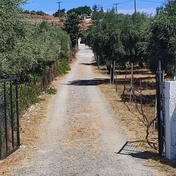Olive Grove Cottage Skalani Knosos Экстерьер фото
