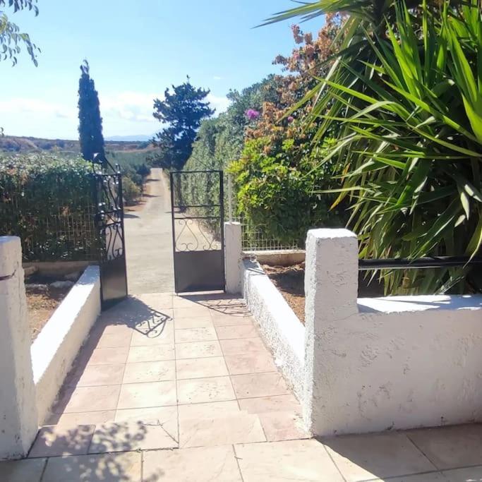 Olive Grove Cottage Skalani Knosos Экстерьер фото