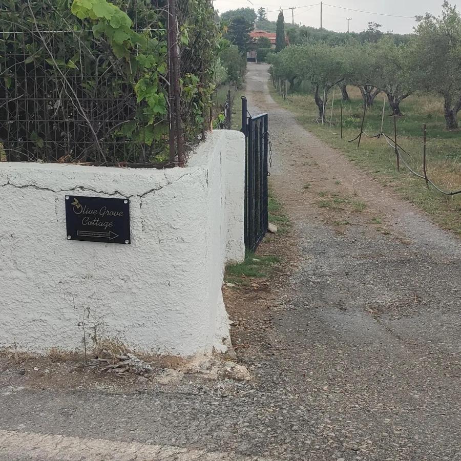 Olive Grove Cottage Skalani Knosos Экстерьер фото